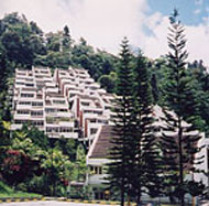 Fraser's Pine Resort - Fraser's Hill  