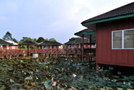 fireflies park resort