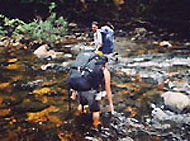 Merapoh National Park