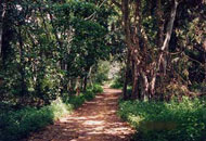 Kuala Selangor Nature Park