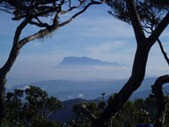 Mount Trusmadi - Sabah