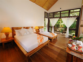 standard jungle view