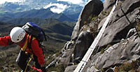 walk the torq on mount kinabalu