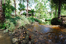 stream by olivia's bungalow