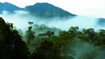 mulu national park