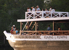 kunang kunang cruise