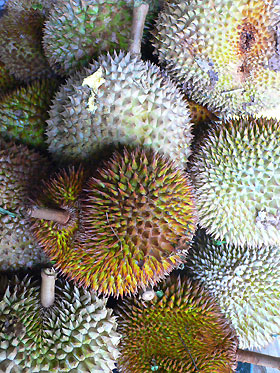 bountiful harvest in january