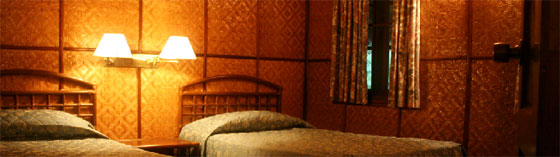 rooms at mutiara taman negara