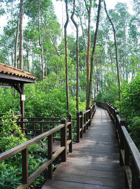 national park plankwalk