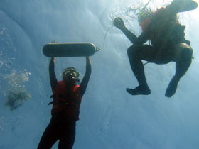 snorkelling at the house reef