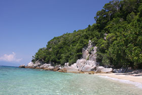 they live on the island but have little knowledge of how to sustain their home