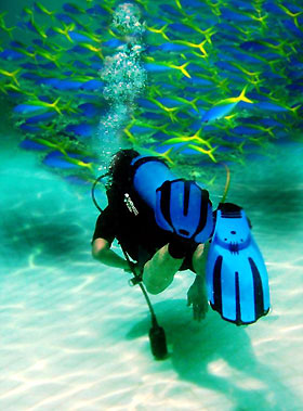 diving in pristine waters