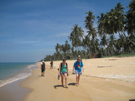 walk in the afternoon