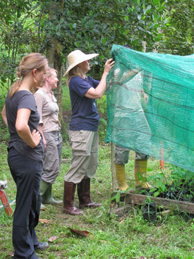 fixing the nursery after a recent storm tore down the roofing