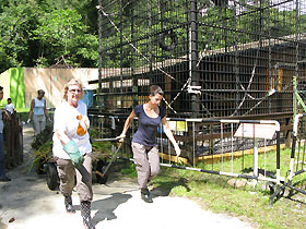 volunteers at matang wildlife centre, sarawak