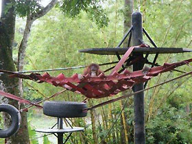katie in her hammock