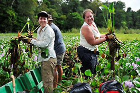 cleaning the river of clogging vegetation